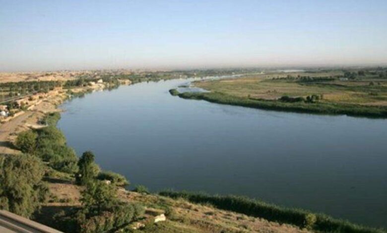 أرشيف