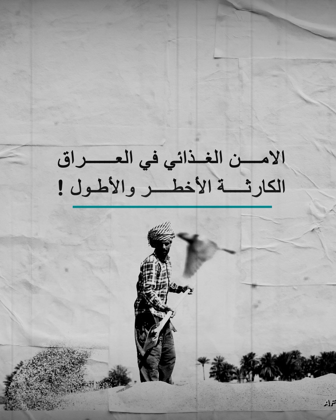 “الامن الغذائي”.. الكارثة الأخطر والأطول في العراق!