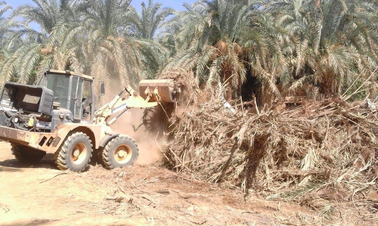تنبيهٌ هام من الزراعة بشأن الحالة التي “لا تُملّك” فيها العشوائية