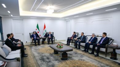 وزير الخارجية السوري ونظيره العراق