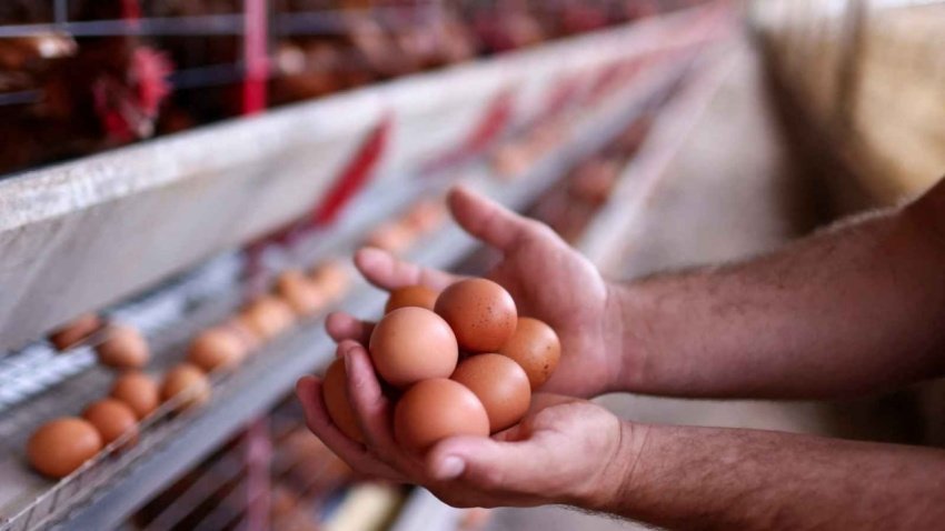 البيض يحلّق والأسواق تتجمد.. ارتفاع الأسعار يفاقم ركود بغداد ويضاعف خسائر التجار